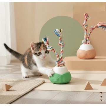 Dooee Toy Rotating Electric Ball Pink